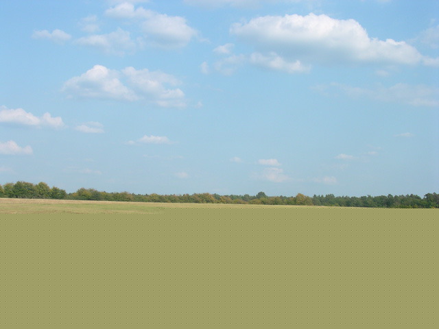 terrain1