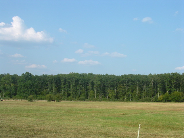 terrain2