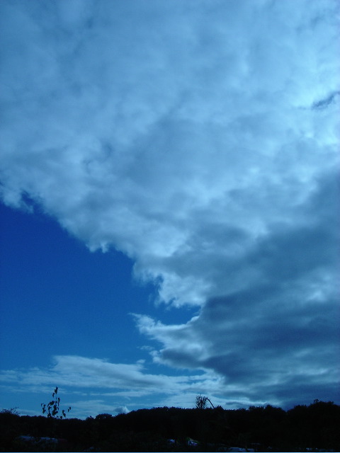DSC01399