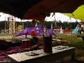DSC01370