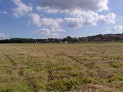 Photo065