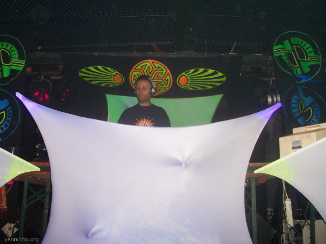 dj Holls